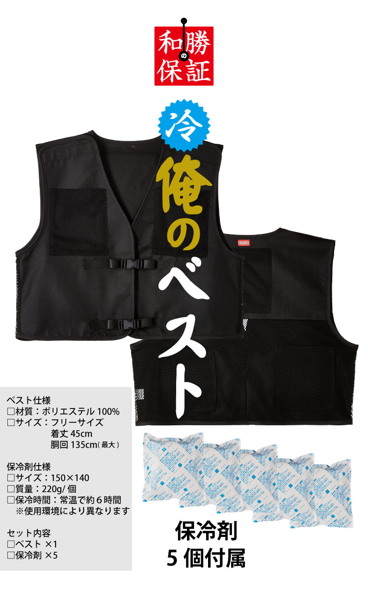 俺のベスト冷