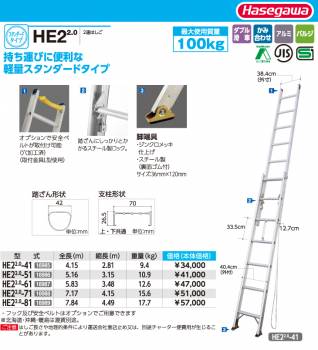 長谷川工業 (配送先法人限定) 2連はしご HE2 2.0-41 全長：4.15m 最大使用質量：100kg ハセガワ