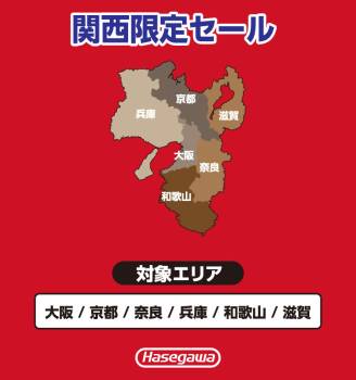 (6府県・配送先法人限定) 長谷川工業 専用伸縮脚立 RYZB-27a 9尺 ブラック  脚部伸縮式 (高さ調整最大31cm) 天板高さ：2.51～2.82m 黒 ハセガワ