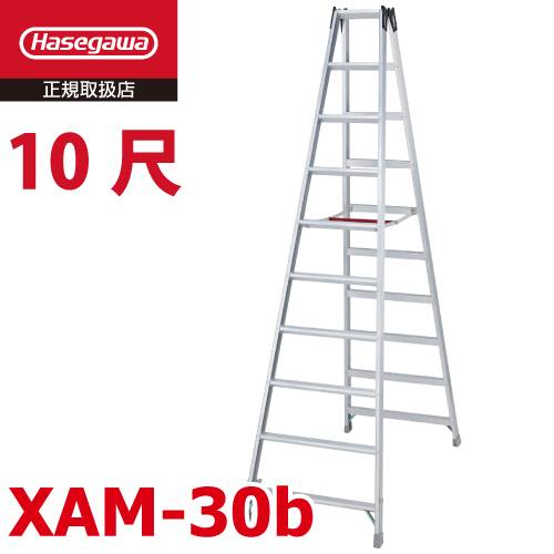 長谷川工業 (配送先法人様限定) 専用脚立 XAM-30b ワンタッチバー 天板高さ：2.89m 最大使用質量：130kg ハセガワ 長尺