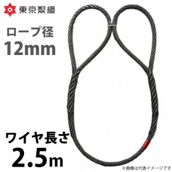 東京製綱 ワイヤーロープ ハイクロスワイヤ 両アイ巻差し(編込み) ワイヤ径：12mm 長さ：2.5m 重量：1.91kg