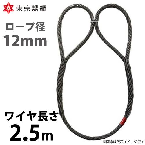 東京製綱 ワイヤーロープ ハイクロスワイヤ 両アイ巻差し(編込み) ワイヤ径：12mm 長さ：2.5m 重量：1.91kg