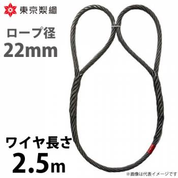 東京製綱 ワイヤーロープ ハイクロスワイヤ 両アイ巻差し(編込み) ワイヤ径：22mm 長さ：2.5m 重量：8.11kg