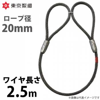 東京製綱 ワイヤーロープ ハイクロスワイヤ 両アイテーパートヨロック ワイヤ径：20mm 長さ：2.5m 重量：5.33kg