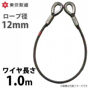 東京製綱 ワイヤーロープ ハイクロスワイヤ 両シンブルトヨロック ワイヤ径：12mm 長さ：1.0m 重量：1.15kg