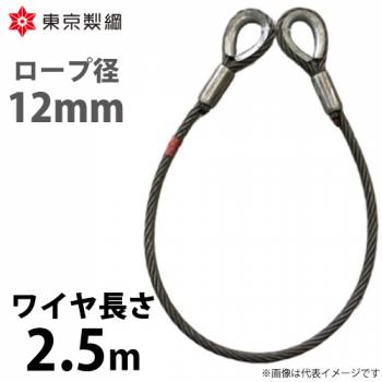 東京製綱 ワイヤーロープ ハイクロスワイヤ 両シンブルトヨロック ワイヤ径：12mm 長さ：2.5m 重量：1.93kg