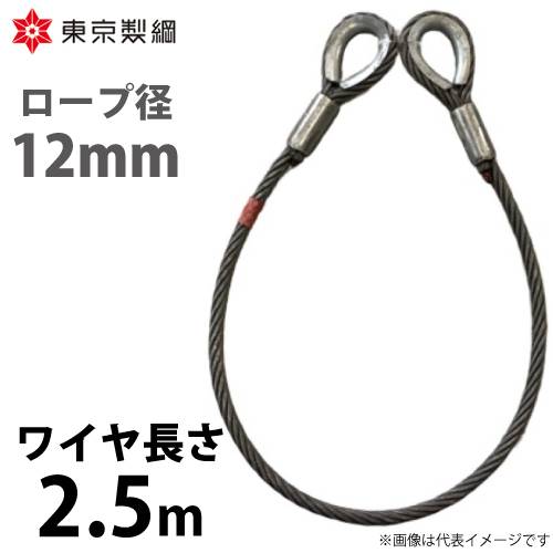 東京製綱 ワイヤーロープ ハイクロスワイヤ 両シンブルトヨロック ワイヤ径：12mm 長さ：2.5m 重量：1.93kg