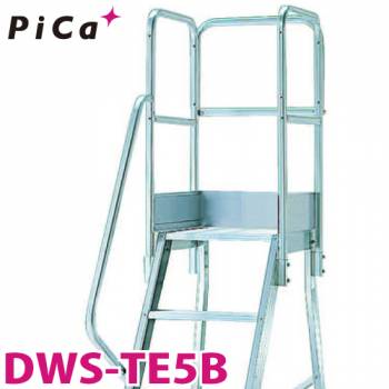 ピカ/Pica DWS用手すり 高さ900mmタイプ DWS-TE5B 適用型番：DWS-90B～180B