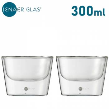 イエナグラス 300ml 2個セット 耐熱ガラス製 ボウル ホット＆クール プリモ